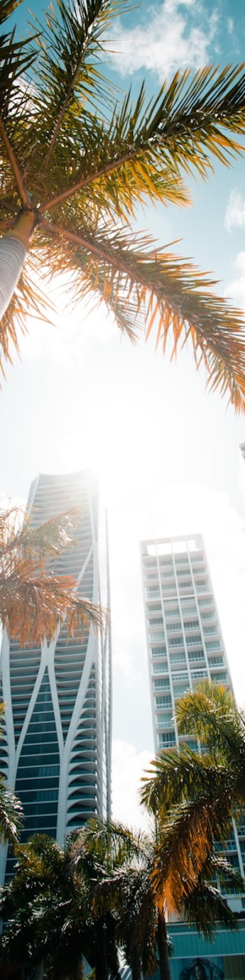 Headhunters Miami